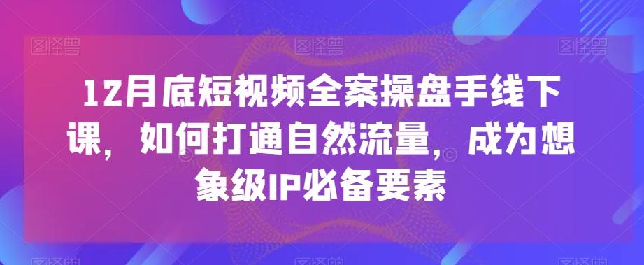 12月底短视频全案操盘手线下课，如何打通自然流量，成为想象级IP必备要素-小毅网创