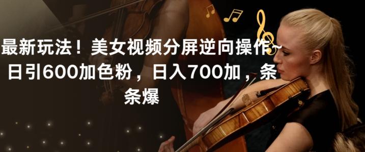 最新玩法！美女视频分屏逆向操作~日引600加色粉，日入700加，条条爆【揭秘】 - 小毅网创-小毅网创