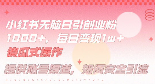 小红书无脑每日引流创业粉500+，小白每天只花半小时，躺赚长尾收益【揭秘】-小毅网创