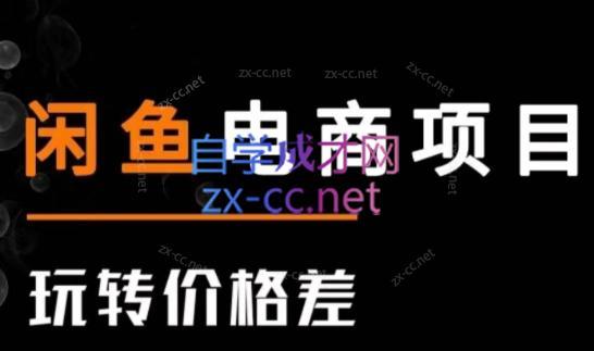 亿创繁星·闲鱼电商项目(玩转价格差)-小毅网创