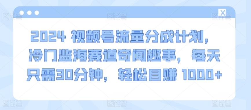 2024视频号流量分成计划，冷门监海赛道奇闻趣事，每天只需30分钟，轻松目赚 1000+【揭秘】-小毅网创