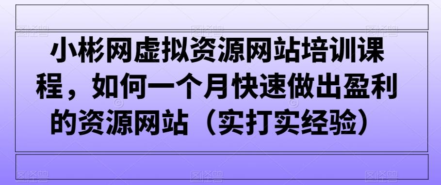 小彬网虚拟资源网站培训课程，如何一个月快速做出盈利的资源网站(实打实经验) - 小毅网创-小毅网创