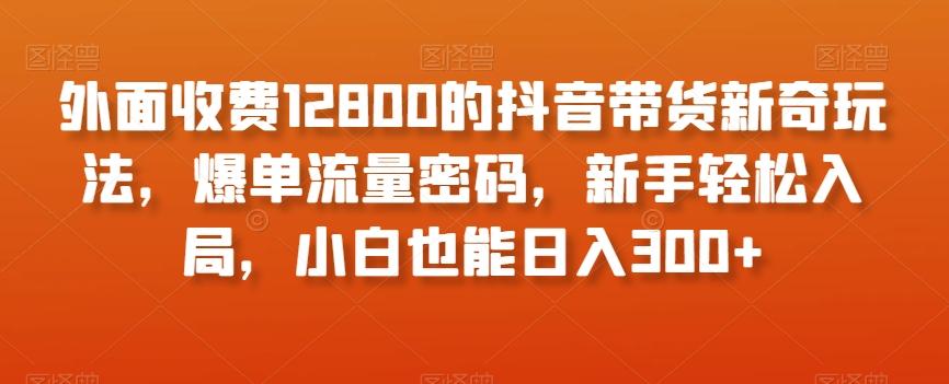 外面收费12800的抖音带货新奇玩法，爆单流量密码，新手轻松入局，小白也能日入300+【揭秘】 - 小毅网创-小毅网创