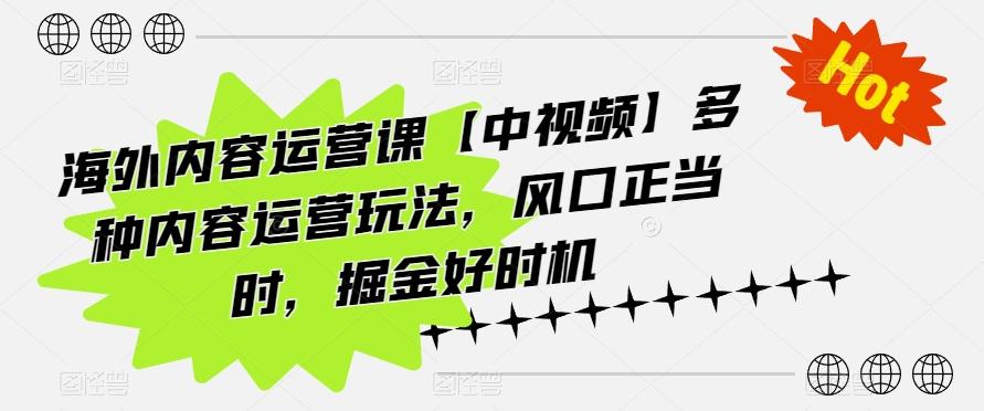 海外内容运营课【中视频】多种内容运营玩法，风口正当时，掘金好时机 - 小毅网创-小毅网创
