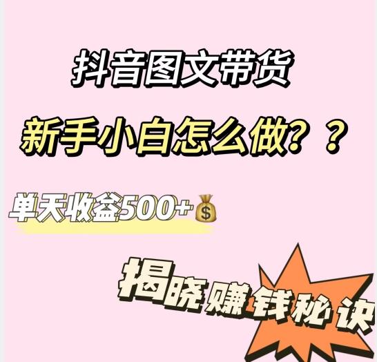 抖音图文带货，新手小白怎么做？单天收益500+【揭秘赚钱秘诀】-小毅网创