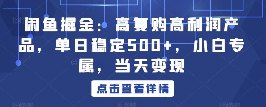 闲鱼掘金：高复购高利润产品，单日稳定500+，小白专属，当天变现 - 小毅网创-小毅网创