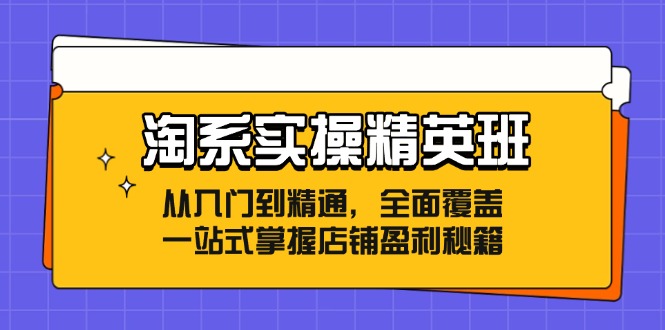 淘系实操精英班：从入门到精通，全面覆盖，一站式掌握店铺盈利秘籍 - 小毅网创-小毅网创