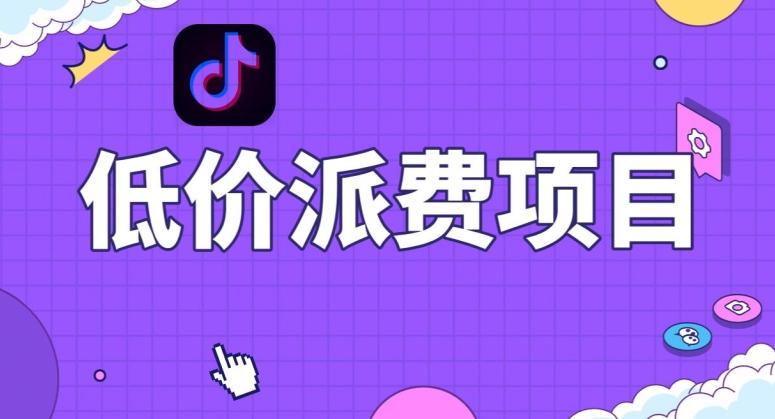 抖音低价派单项目，0门槛，日入1000+很轻松，小白可操作【揭秘】 - 小毅网创-小毅网创