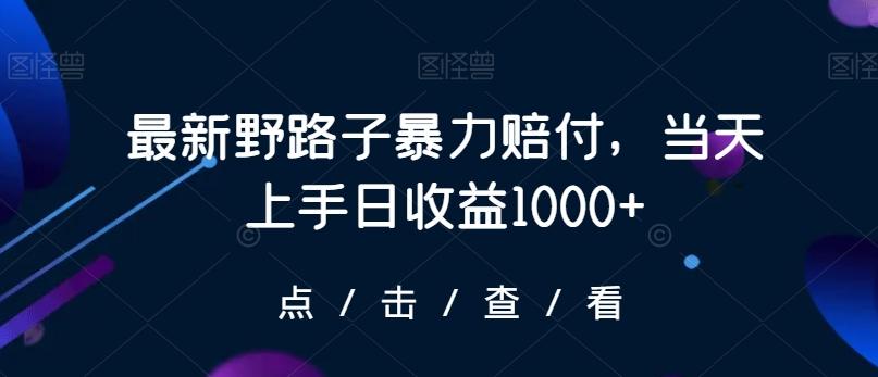 最新野路子暴力赔付，当天上手日收益1000+【仅揭秘】 - 小毅网创-小毅网创