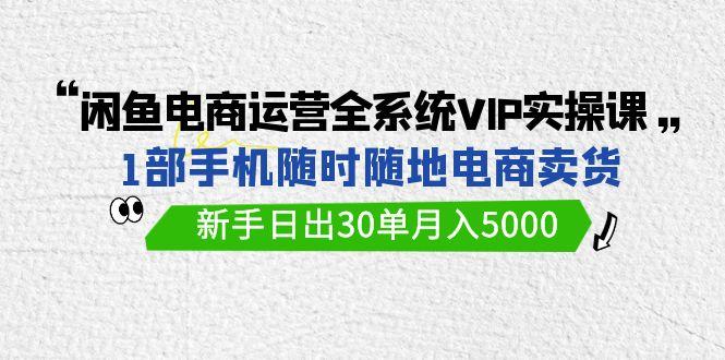 (9547期)闲鱼电商运营全系统VIP实战课，1部手机随时随地卖货，新手日出30单月入5000 - 小毅网创-小毅网创