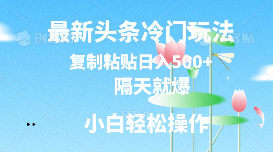 最新头条冷门玩法，隔天就爆，复制粘贴日入500+-小毅网创