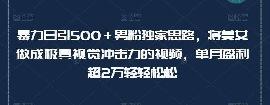 暴力日引500＋男粉独家思路，将美女做成极具视觉冲击力的视频，单月盈利超2万轻轻松松 - 小毅网创-小毅网创