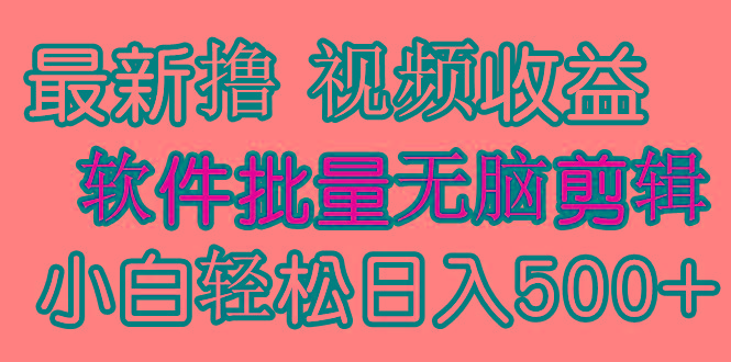 (9569期)发视频撸收益，软件无脑批量剪辑，第一天发第二天就有钱-小毅网创