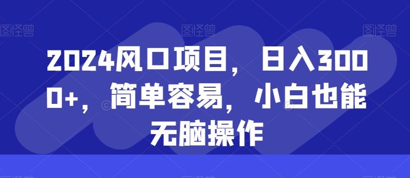 2024风口项目，日入3000+，简单容易，小白也能无脑操作 - 小毅网创-小毅网创