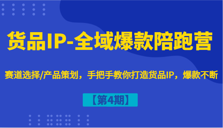 货品IP-全域爆款陪跑营【第4期】赛道选择/产品策划，手把手教你打造货品IP，爆款不断-小毅网创