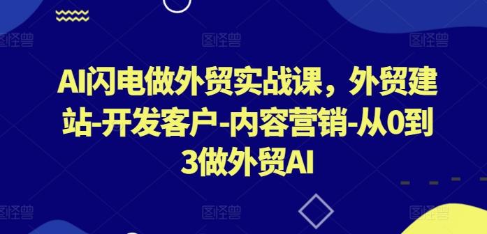 AI闪电做外贸实战课,外贸建站-开发客户-内容营销-从0到3做外贸AI