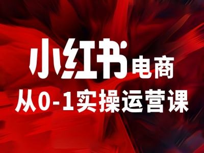 小红书电商从0-1实操运营课，让你从小白到精英 - 小毅网创-小毅网创