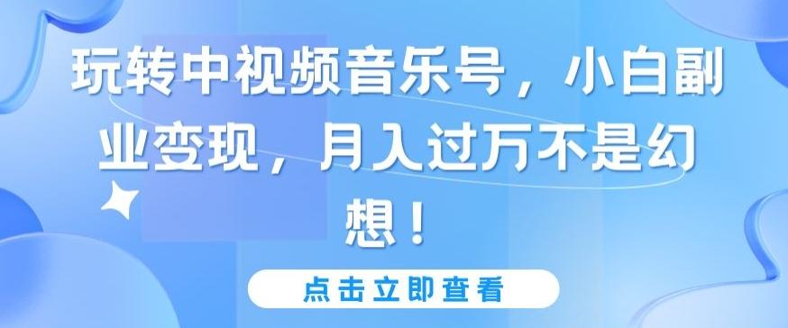 玩转中视频音乐号，小白副业变现，月入过万不是幻想【揭秘】 - 小毅网创-小毅网创