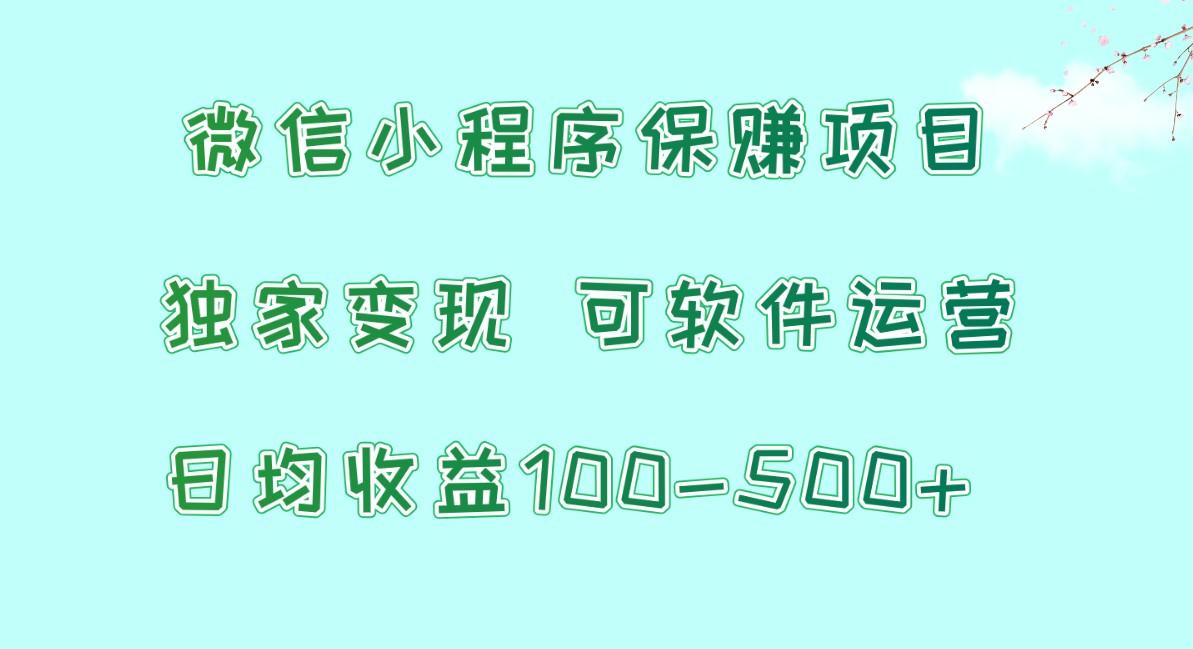 微信小程序保赚项目，日均收益100~500+，独家变现，可软件运营 - 小毅网创-小毅网创