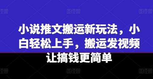 小说推文搬运新玩法，小白轻松上手，搬运发视频让搞钱更简单 - 小毅网创-小毅网创