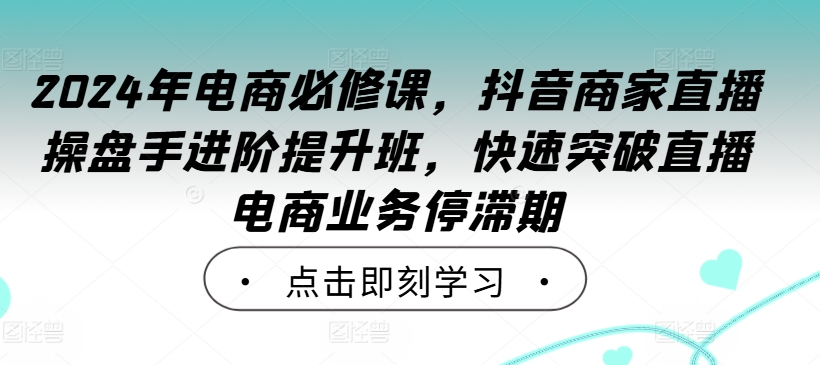 2024年电商必修课，抖音商家直播操盘手进阶提升班，快速突破直播电商业务停滞期 - 小毅网创-小毅网创