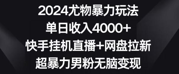 2024尤物暴力玩法，单日收入4000+，快手挂机直播+网盘拉新，超暴力男粉无脑变现【揭秘】-小毅网创
