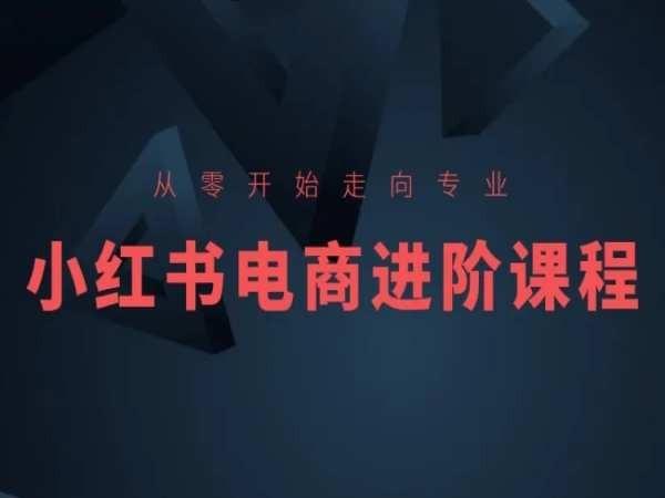 从零开始走向专业，小红书电商进阶课程 - 小毅网创-小毅网创