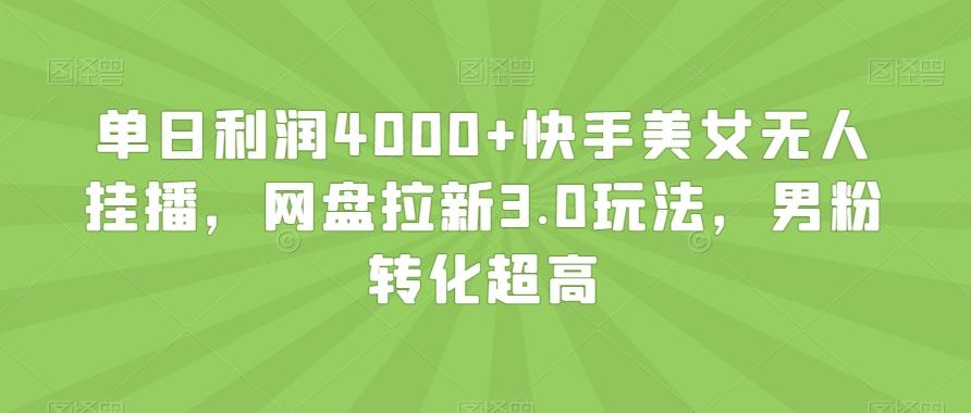 单日利润4000+快手美女无人挂播，网盘拉新3.0玩法，男粉转化超高【揭秘】 - 小毅网创-小毅网创