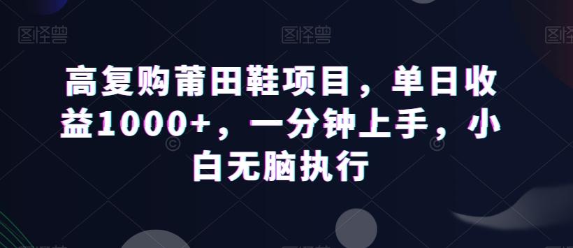 高复购莆田鞋项目，单日收益1000+，一分钟上手，小白无脑执行 - 小毅网创-小毅网创