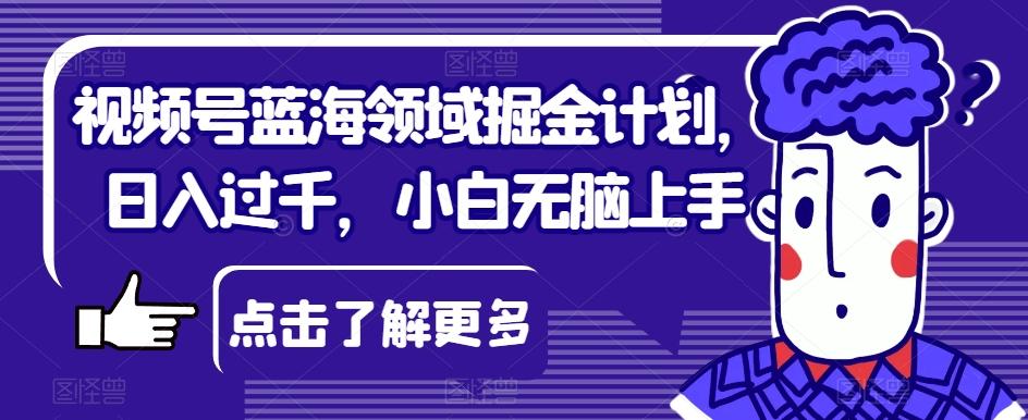 视频号蓝海领域掘金计划，日入过千，小白无脑上手【揭秘】 - 小毅网创-小毅网创