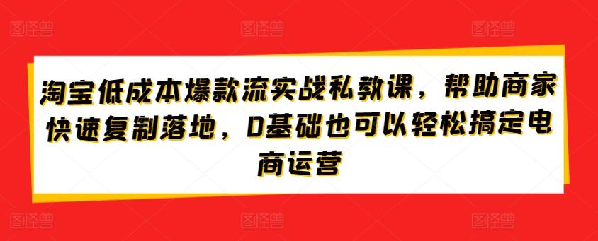 淘宝低成本爆款流实战私教课，帮助商家快速复制落地，0基础也可以轻松搞定电商运营-小毅网创