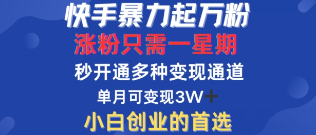 快手暴力起万粉，涨粉只需一星期，多种变现模式，直接秒开万合，单月变现过W【揭秘】 - 小毅网创-小毅网创