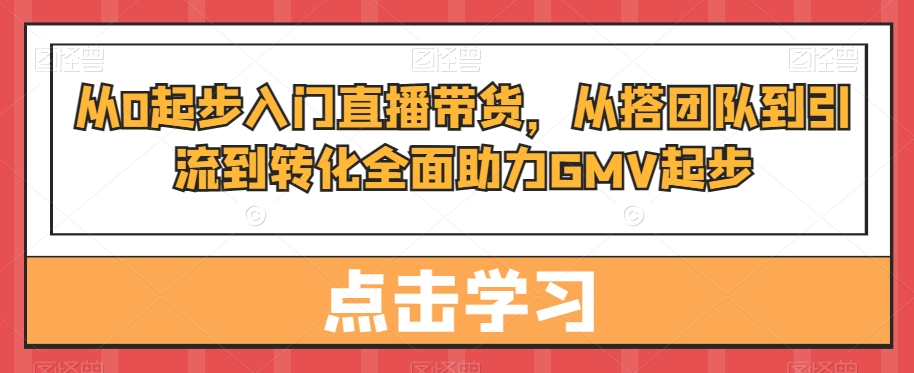 从0起步入门直播带货，​从搭团队到引流到转化全面助力GMV起步 - 小毅网创-小毅网创