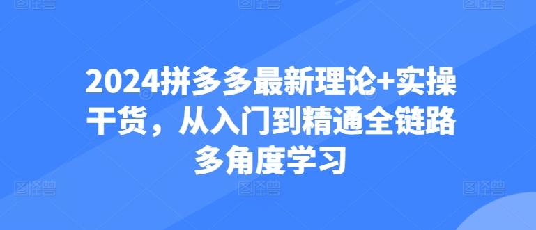 2024拼多多最新理论+实操干货，从入门到精通全链路多角度学习 - 小毅网创-小毅网创