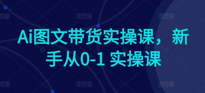 Ai图文带货实操课，新手从0-1 实操课-小毅网创