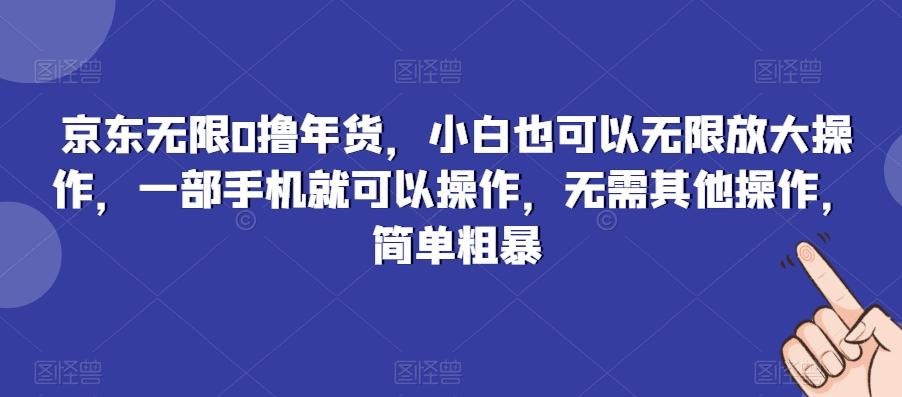 京东无限0撸年货，小白也可以无限放大操作，一部手机就可以操作，无需其他操作，简单粗暴-小毅网创