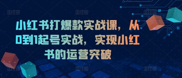 小红书打爆款实战课，从0到1起号实战，实现小红书的运营突破-小毅网创