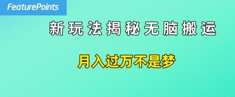 简单操作，每天50美元收入，搬运就是赚钱的秘诀【揭秘】 - 小毅网创-小毅网创