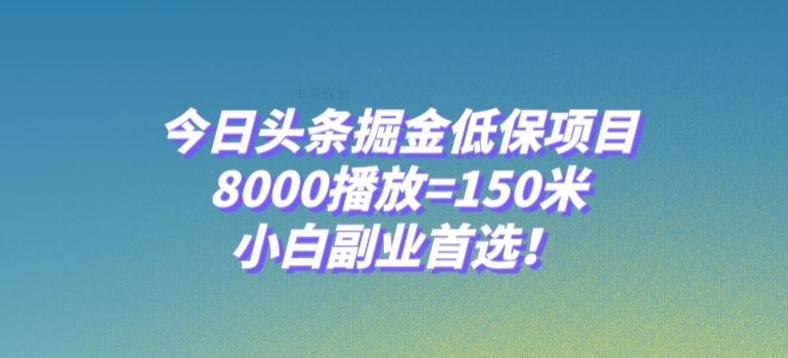 今日头条掘金低保项目，8000播放=150米，小白副业首选【揭秘】 - 小毅网创-小毅网创