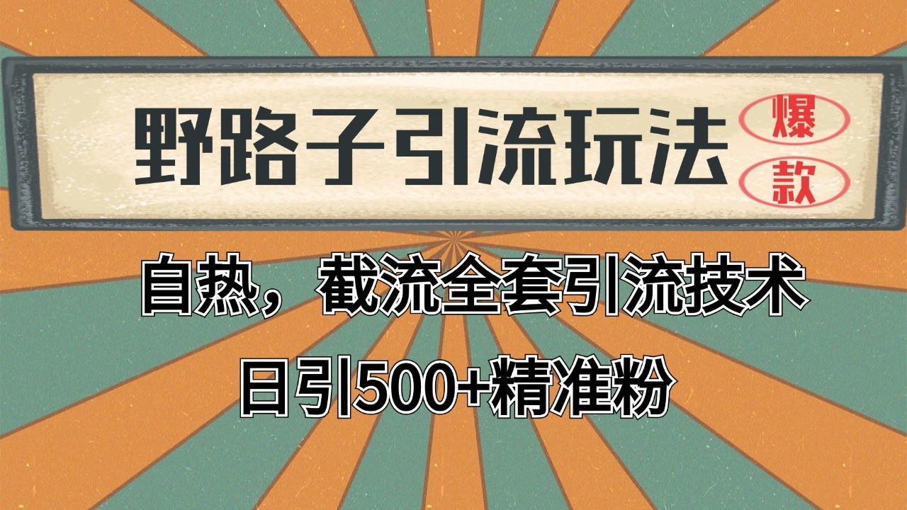 抖音小红书视频号全平台引流打法，全自动引流日引2000+精准客户 - 小毅网创-小毅网创