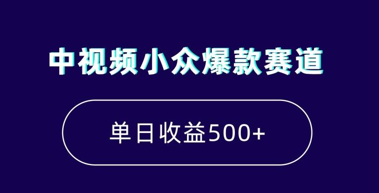 中视频小众爆款赛道，7天涨粉5万+，小白也能无脑操作，轻松月入上万【揭秘】 - 小毅网创-小毅网创