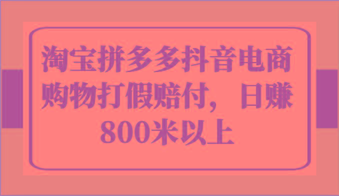 淘宝拼多多抖音电商购物打假赔付，日赚800米以上 - 小毅网创-小毅网创