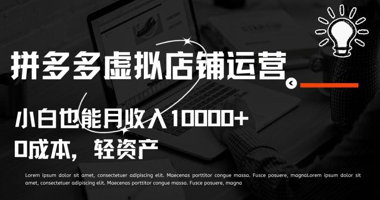 拼多多虚拟店铺运营小白也能月收入10000+【揭秘】 - 小毅网创-小毅网创