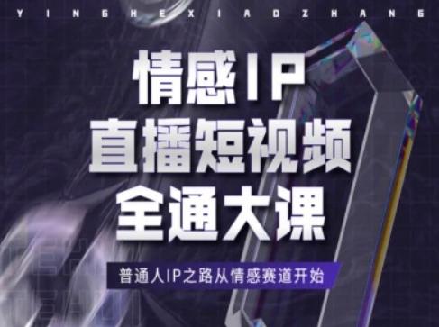 情感IP直播短视频全通大课，普通人IP之路从情感赛道开始-小毅网创