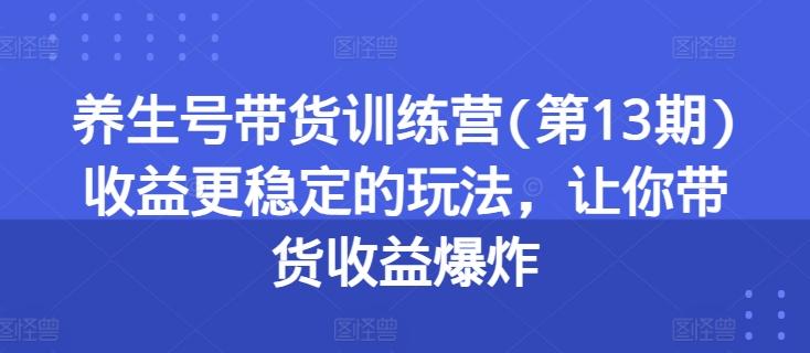 养生号带货训练营(第13期)收益更稳定的玩法，让你带货收益爆炸 - 小毅网创-小毅网创