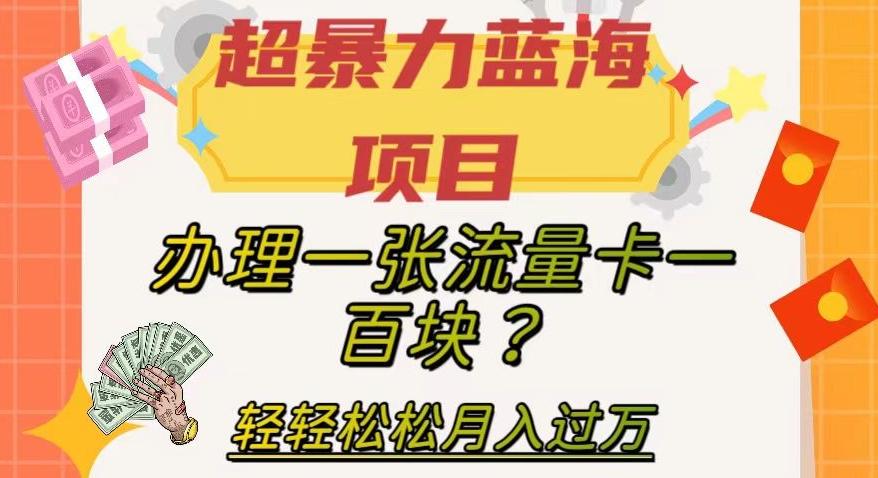 超暴力蓝海项目，办理一张流量卡一百块？轻轻松松月入过万，保姆级教程【揭秘】 - 小毅网创-小毅网创