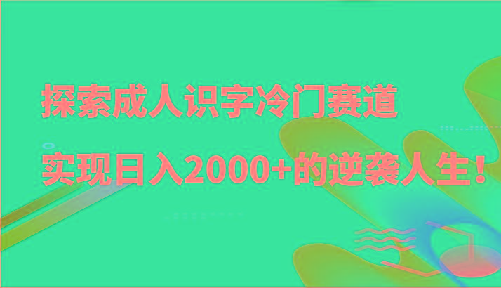 探索成人识字冷门赛道，实现日入2000+的逆袭人生！-小毅网创
