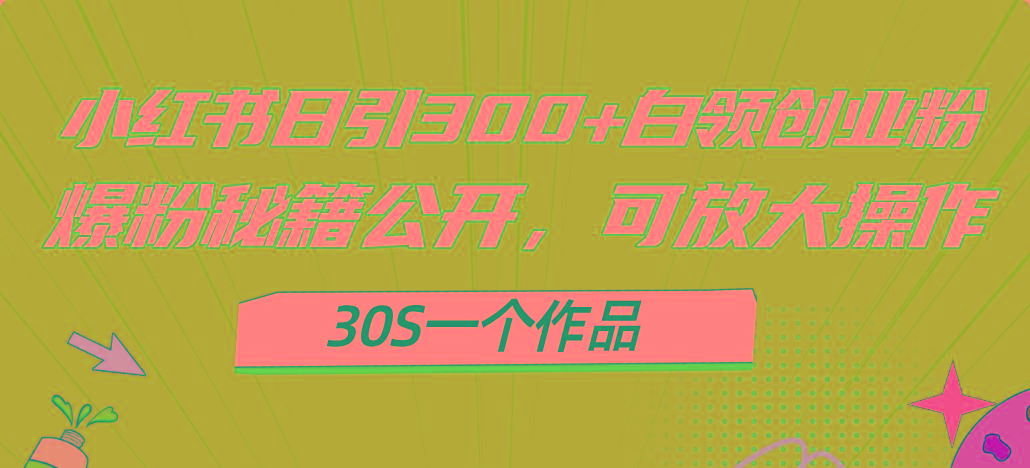 小红书日引300+高质白领创业粉，可放大操作，爆粉秘籍！30s一个作品 - 小毅网创-小毅网创