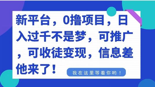 不要再花冤枉钱了，0撸项目，每天坚持，稳定1000+ - 小毅网创-小毅网创