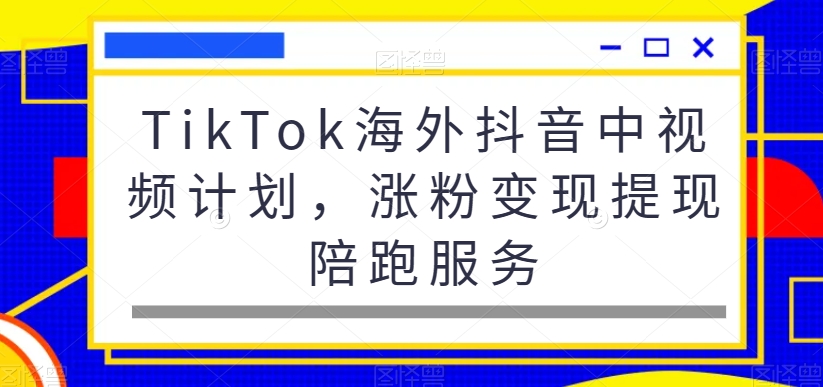 TikTok海外抖音中视频计划，涨粉变现提现陪跑服务 - 小毅网创-小毅网创